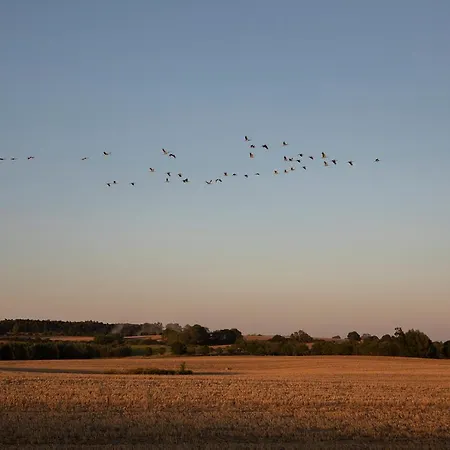 Gutshauszimmer Doppel Pansiyon Neu Gaarz