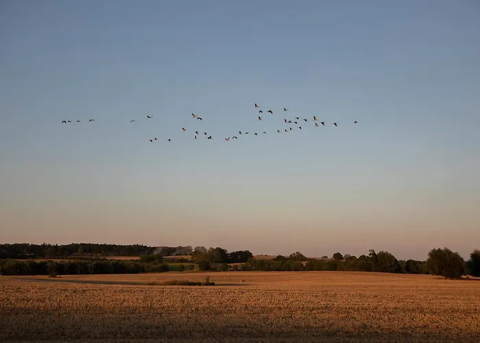 Gutshauszimmer Doppel Rum i privatbostad Neu Gaarz